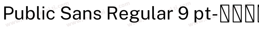 Public Sans Regular 9 pt字体转换